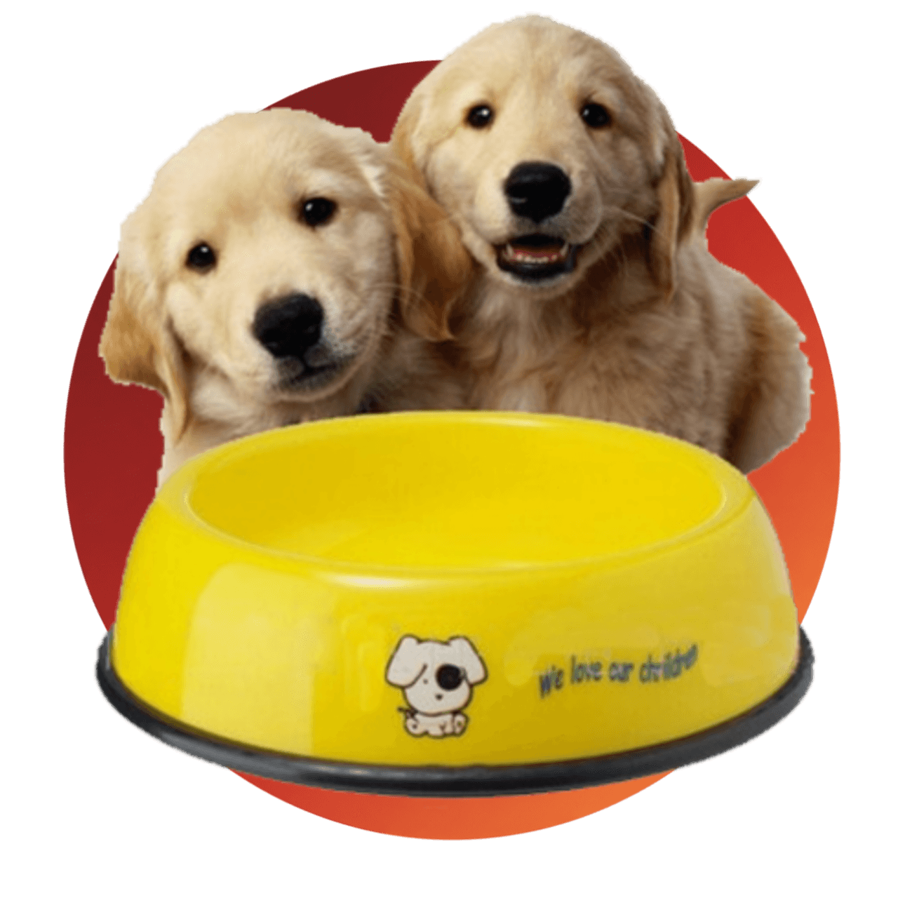 Mascotas